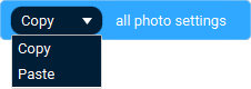 The Action 'Copy/paste Photo Settings' as visible in Touch Portal.