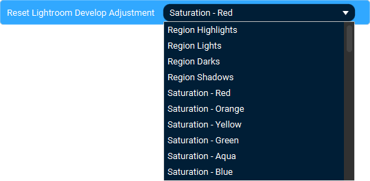 The Action 'Reset Single Adjustment In Develop' as visible in Touch Portal.