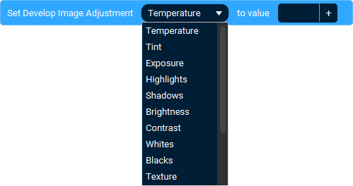 The Action 'Set Develop Image Adjustment' as visible in Touch Portal.