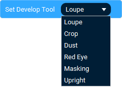 The Action 'Set Develop Tool' as visible in Touch Portal.